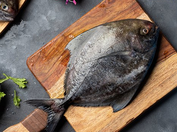 Black Pomfret